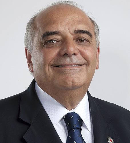 Deputado Dalmo Ribeiro Silva